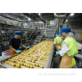 Automatische Produktionslinie für gefrorene französische Pommes Frites